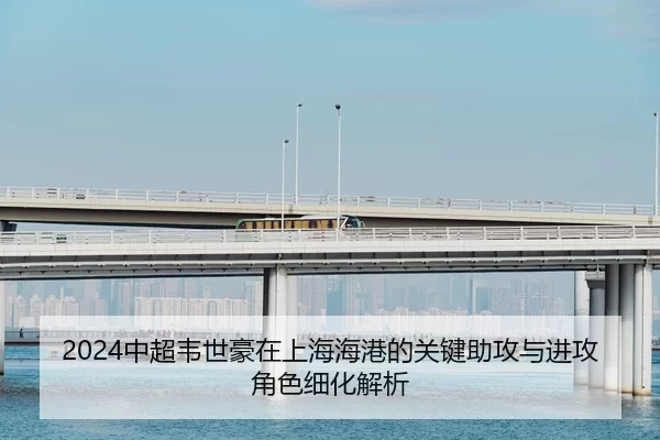 2024中超韦世豪在上海海港的关键助攻与进攻角色细化解析